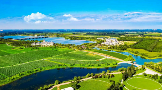 WTI青少年国际营