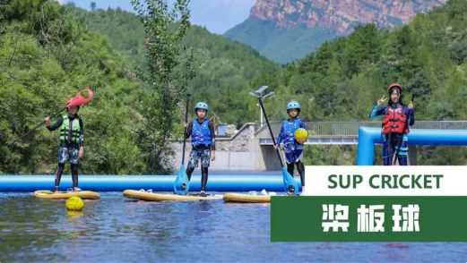 超燃少年营(运动心理科技)