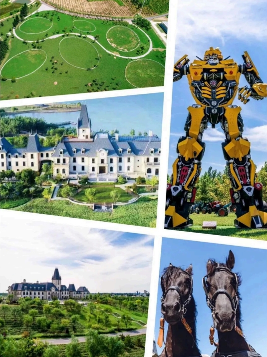 超燃少年营(运动心理科技)