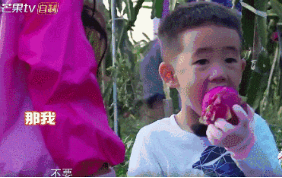 贵州6天5晚亲子之旅