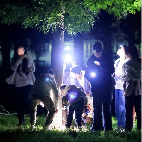 暑期活动|四天三夜庄园圣火运动会