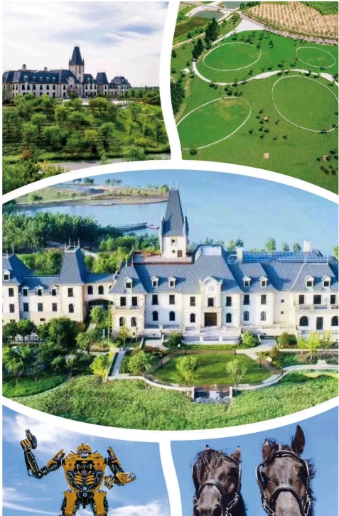 暑期活动|四天三夜庄园圣火运动会