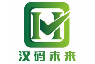 2025年汉码未来培训效果