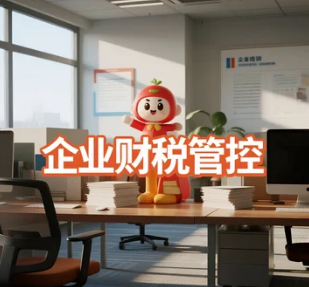 企业财税管控：核心模块与价值解析