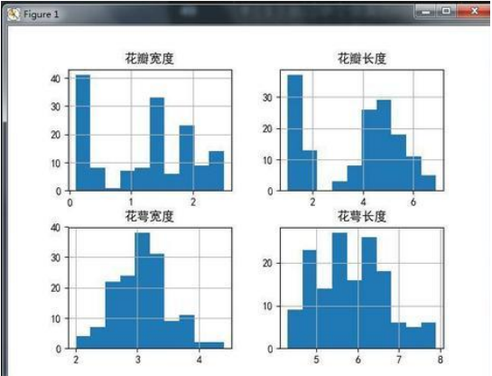 人工智能(AI算法)5人精品班