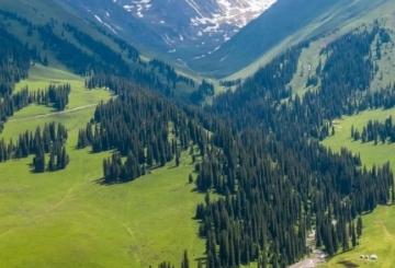 亲子游新疆伊犁活动主题介绍