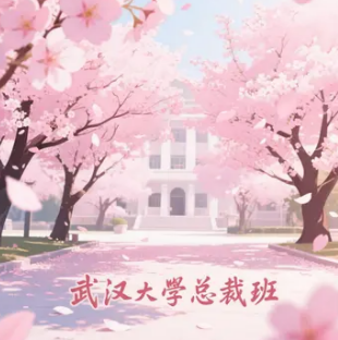 2025 年武大总裁班怎么训练