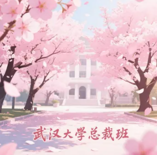 2025年武大总裁班能学什么