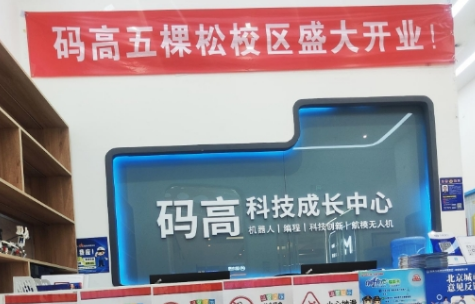 码高机器人编程有用吗？