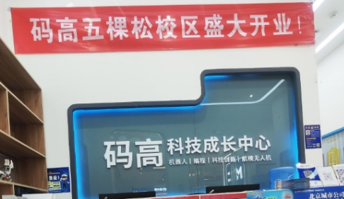 码高编程正规吗？