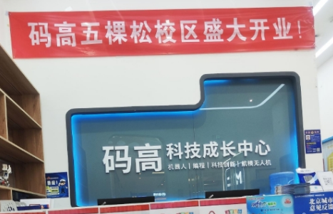 码高编程：四大核心优势，赋能青少年科技素养成长