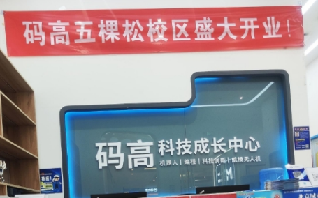 码高少儿编程平台：为孩子搭建系统化科技成长路径