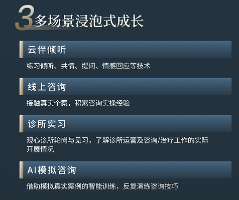 廖文婷心理咨询师高阶执业成长计划