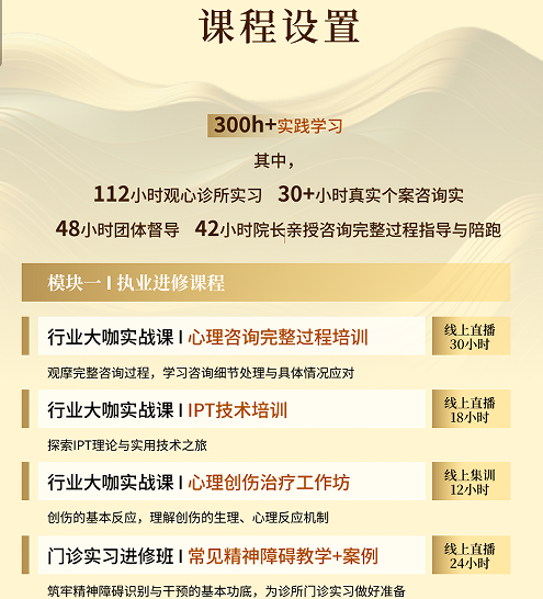 廖文婷心理咨询师高阶执业成长计划