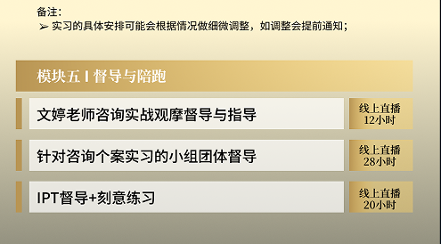 廖文婷心理咨询师高阶执业成长计划