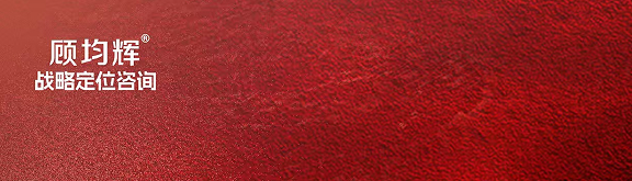 李静-林天阳-顾均辉战略定《人生定位6+1》