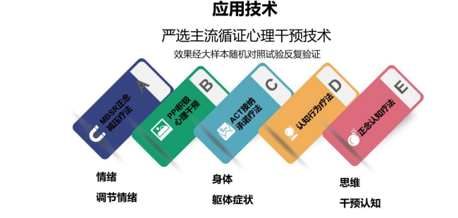 曹学玲-成人认知一纸禅