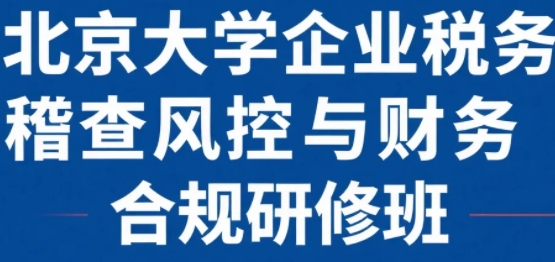 2025年税务稽查培训亮点有什么？