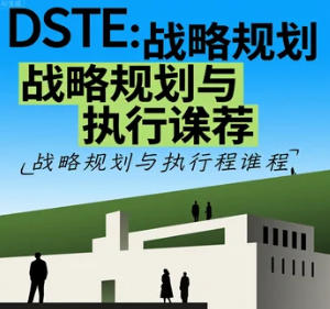 DSTE框架是什么？