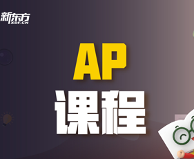 ap班的课程亮点有哪些？