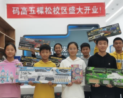 2025年北京少儿编程机器人项目