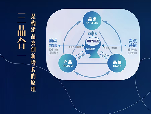 贾伟-品类创新增长特训营