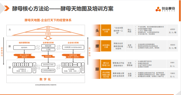 创业酵母破局增长