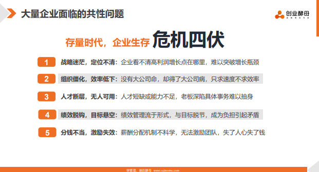 创业酵母破局增长