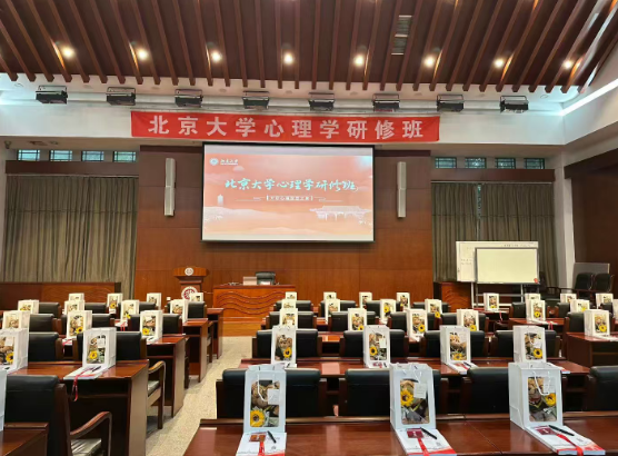 北京大学心理咨询研修班