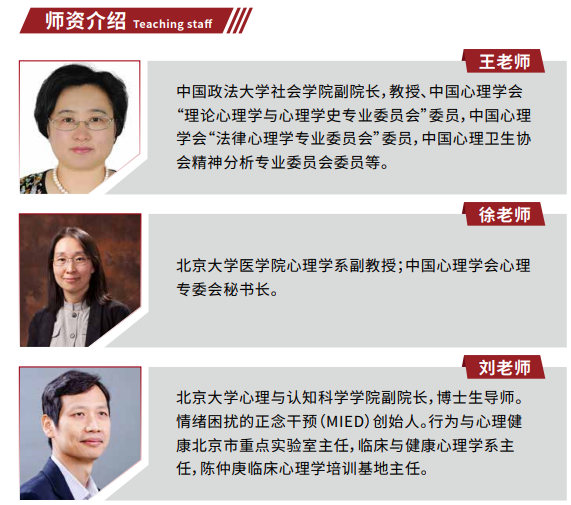 北京大学心理咨询研修班