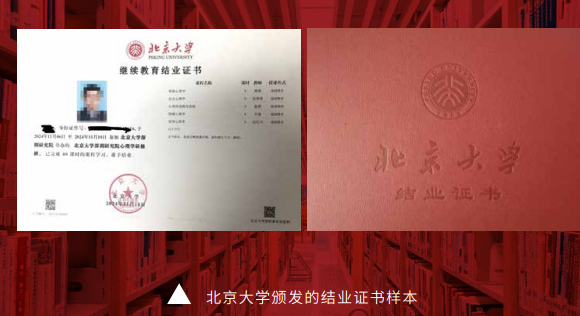 北京大学心理咨询研修班