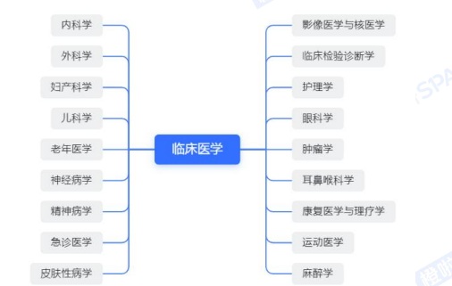 考研早鸟班全科定制(政英+西医专硕)