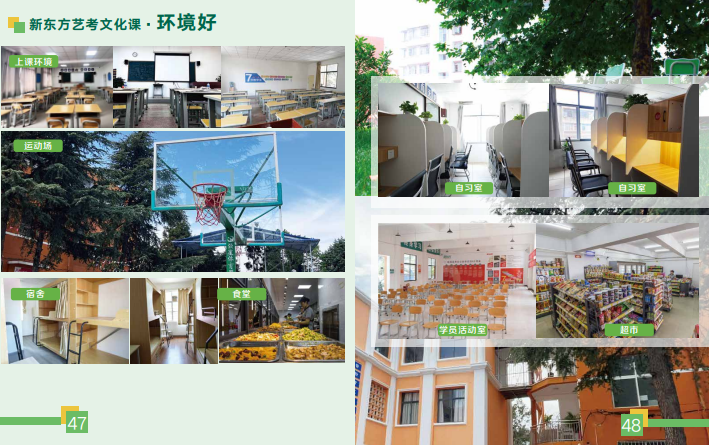 云南新东方高考全日制学校艺考文化课招生简章
