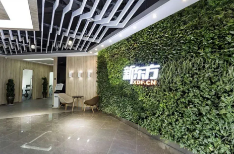 云南新东方k12文化课班