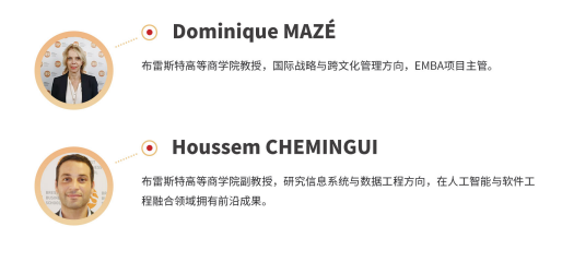 布雷斯特高等商学院工商管理博士(人工智能应用管理)招生简章