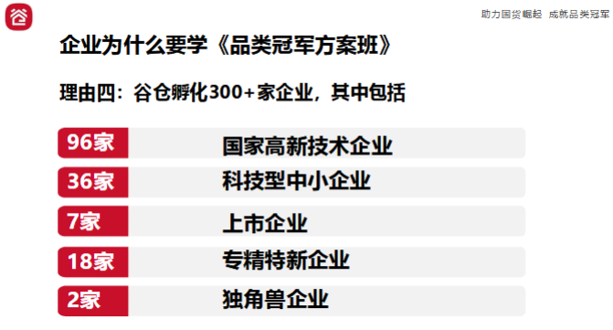 品类冠军方案班