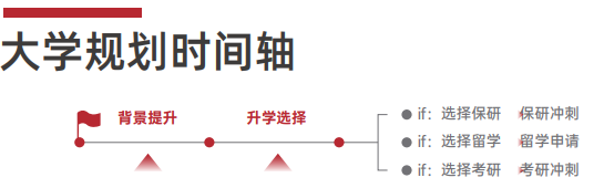 雏鹰计划保研辅导(含理工核心论文辅导发表)