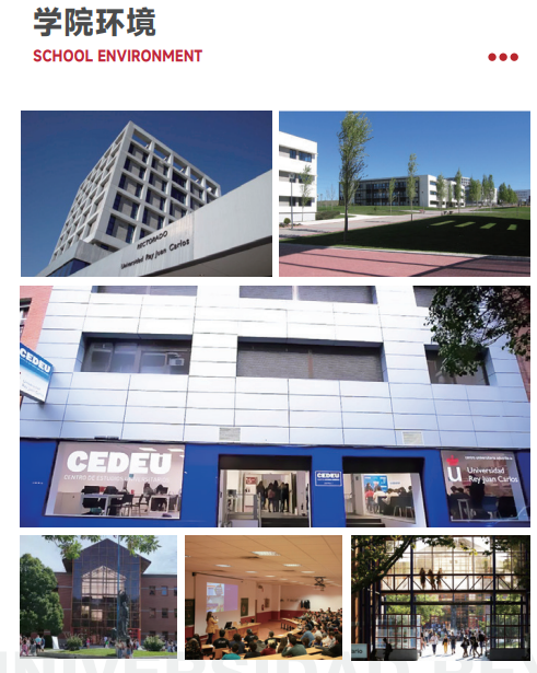 西班牙胡安卡洛斯CEDEU(临床医学硕士)招生简章