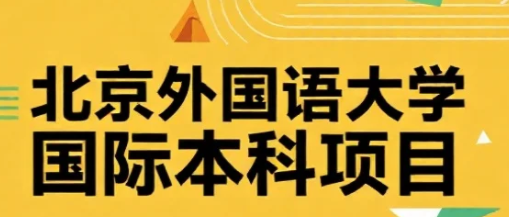 2026年北京外国语大学国际本科好吗？