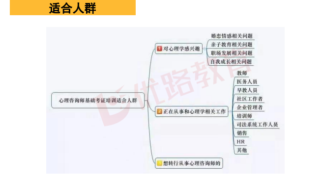 优路心理咨询师项实操系统班