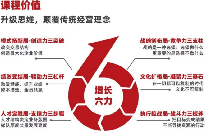 王笑菲《增长破局》