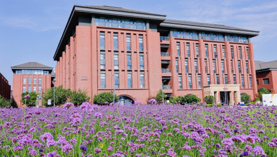 浙江大学中澳图式治疗ISST国际认证连续培训项目