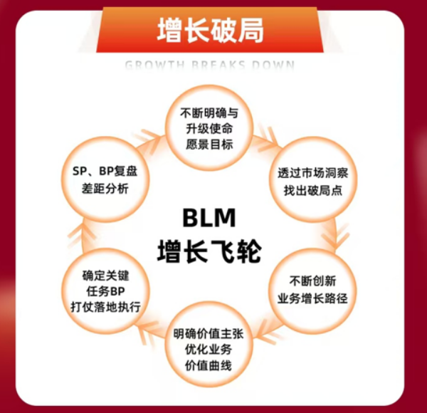 方永飞-BLM科学经营:大增长营