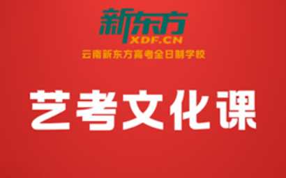 艺考逐梦·文综护航——云南优质艺考文化课辅导机构推荐