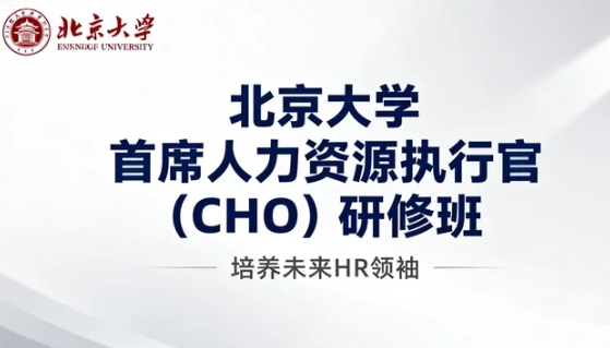 北大首席人力资源官战略规划的核心挑战有哪些