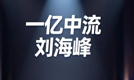 刘海峰的商业课程怎么样