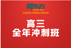 2026昆明高三1v1冲刺班哪家好？新东方定制辅导，精准提分不绕路