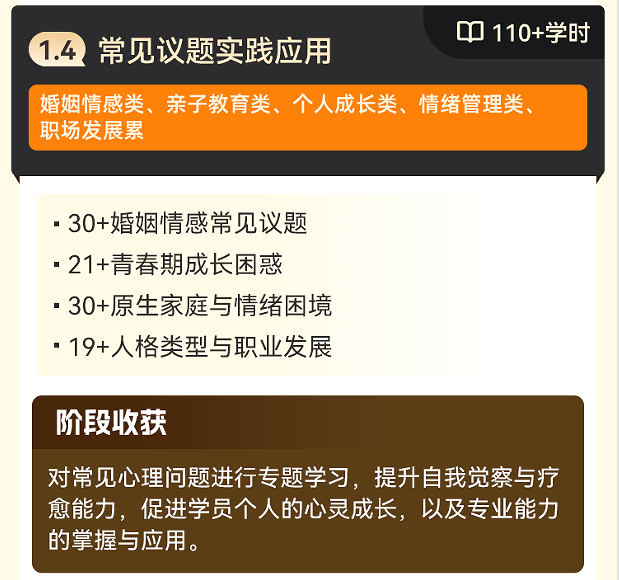 心理咨询师职业能力水平评价项目初级实战全能班
