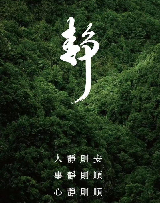 三日山林冥想·心归处
