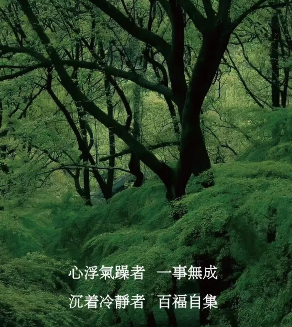 两日山林静修·归心之旅